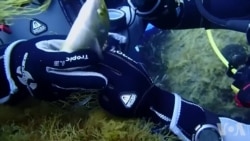 海洋杀手：吞噬一切的“鬼网”